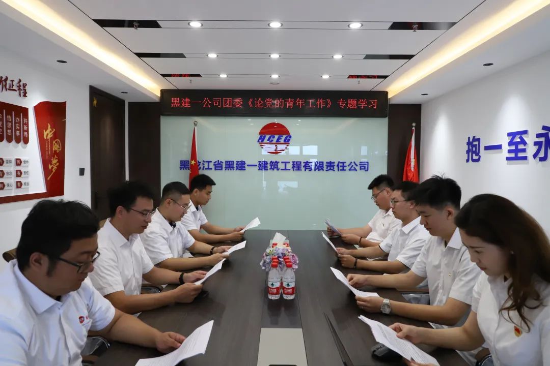 【能力作風(fēng)建設(shè)年】黑建一公司團(tuán)委《論黨的青年工作》專題學(xué)習(xí)活動(dòng)總結(jié)